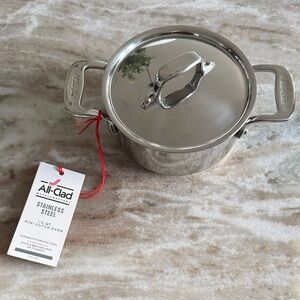 All Clad Stainless Steel 1/2 quart Mini Dutch Oven